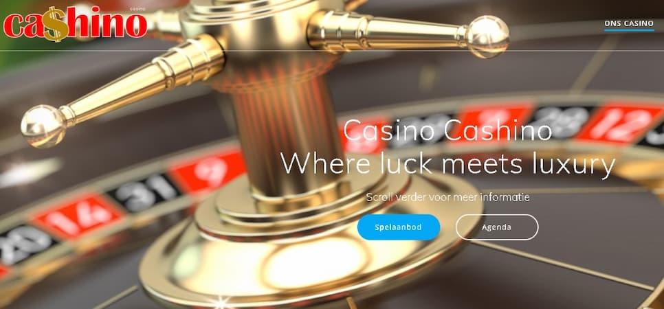cashino.info